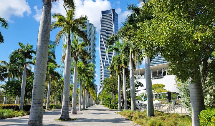 Experience Miami Citys Finest Sights