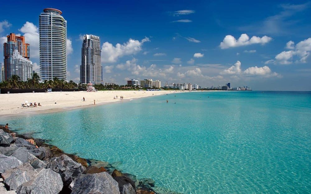 Experience Miami Citys Finest Sights