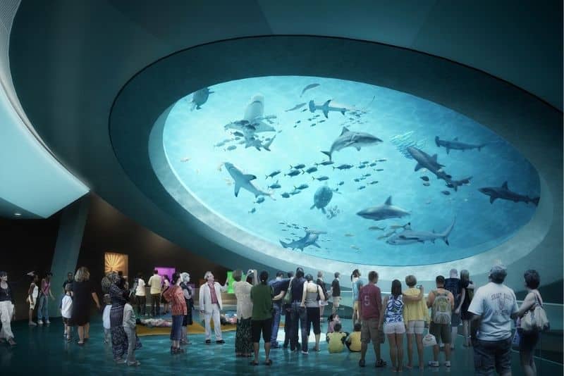 Experience the Best Events in Miami, Florida