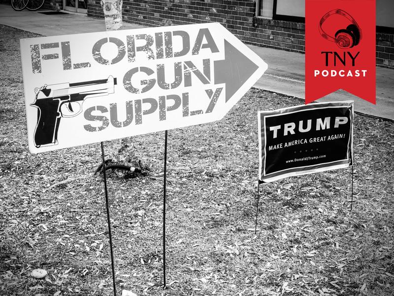 Florida Political Scene Florida Political Scene