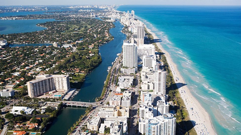 Miamis Political Landscape