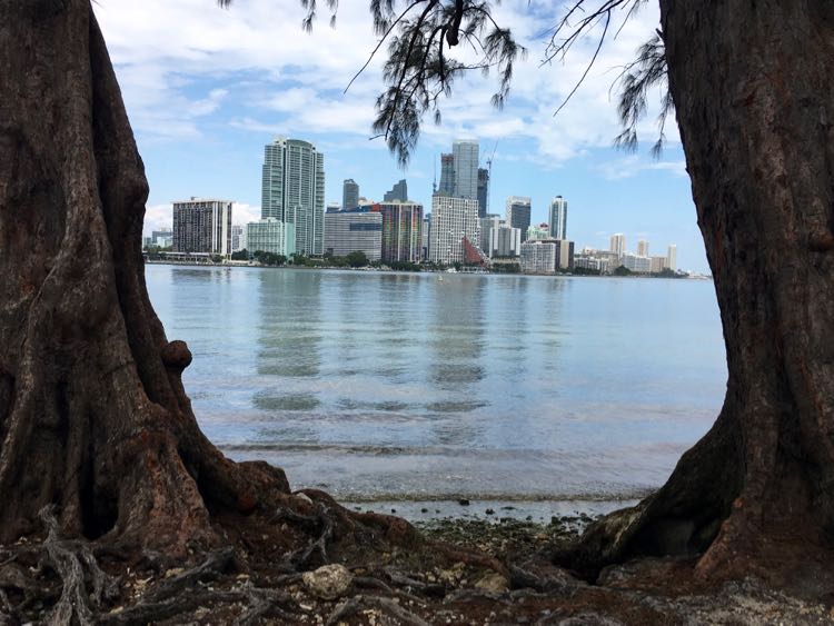 Uncover the Hidden Gems of Miami City, Florida Uncover the Hidden Gems of Miami City, Florida