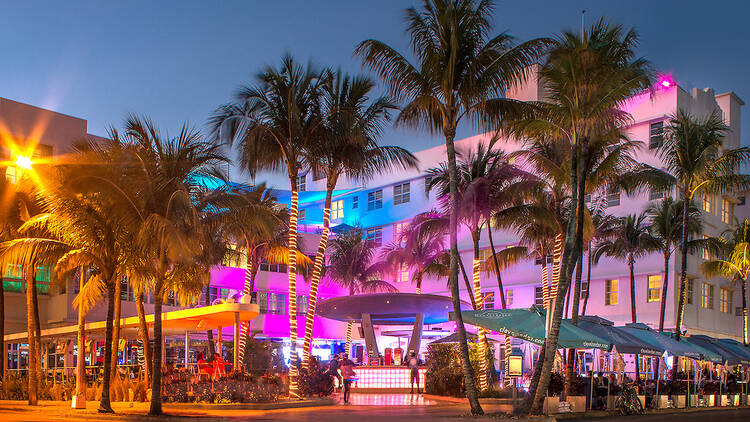 Unforgettable Experiences in Miami City, Florida Unforgettable Experiences in Miami City, Florida