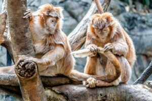 Family-friendly attractions like the Miami Zoo and Jungle Island