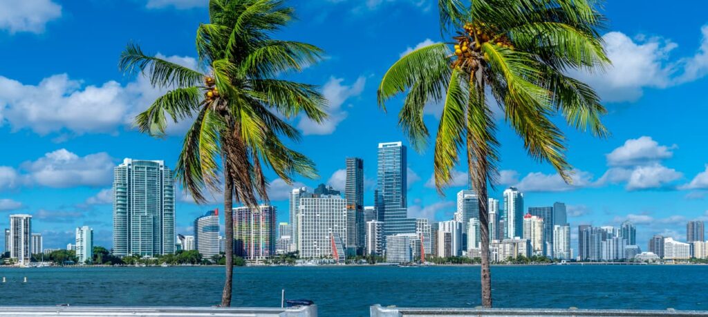 The Ultimate Guide to the Best Things To Do In Miami City