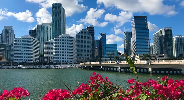 The Ultimate Guide to the Best Things To Do In Miami City